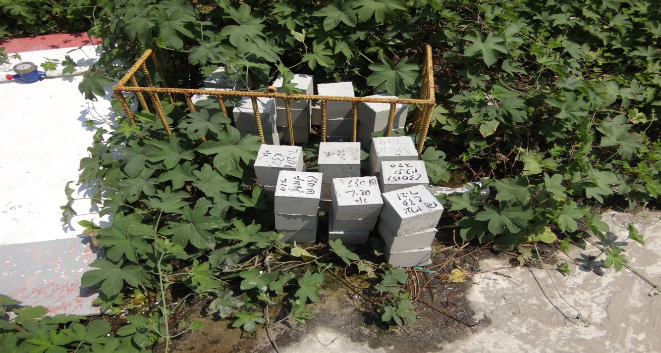 保障性质量通病-结构篇